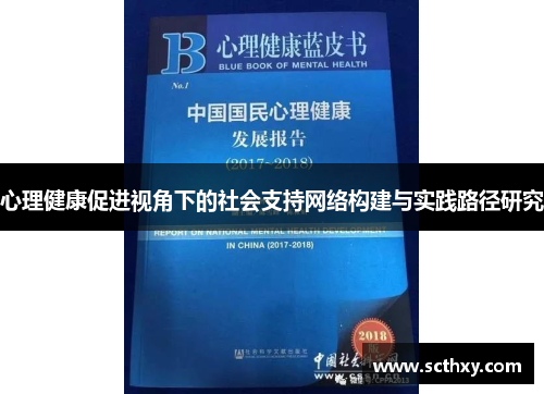 心理健康促进视角下的社会支持网络构建与实践路径研究