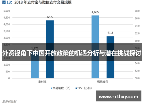外资视角下中国开放政策的机遇分析与潜在挑战探讨