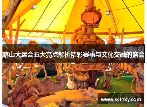 喀山大运会五大亮点解析精彩赛事与文化交融的盛会