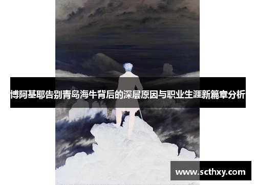 博阿基耶告别青岛海牛背后的深层原因与职业生涯新篇章分析
