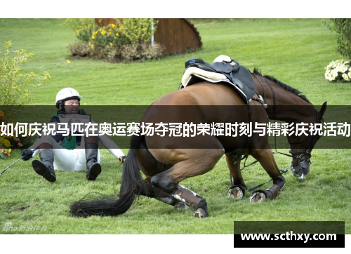 如何庆祝马匹在奥运赛场夺冠的荣耀时刻与精彩庆祝活动