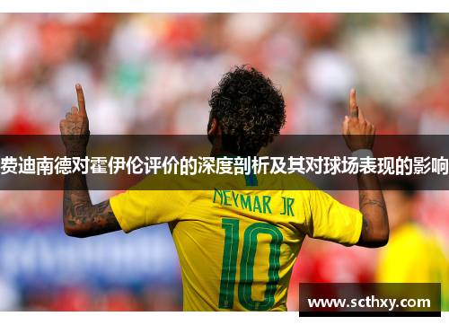 费迪南德对霍伊伦评价的深度剖析及其对球场表现的影响