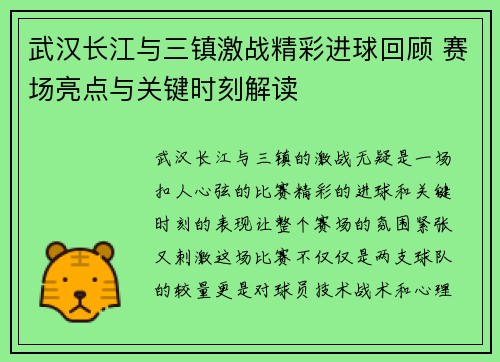 武汉长江与三镇激战精彩进球回顾 赛场亮点与关键时刻解读
